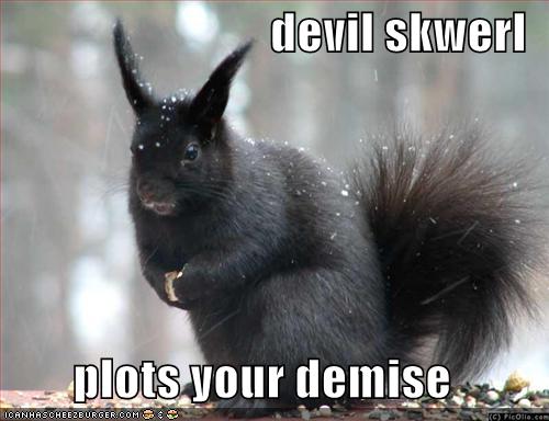 Bann's Application Funny-pictures-evil-black-squirrel2