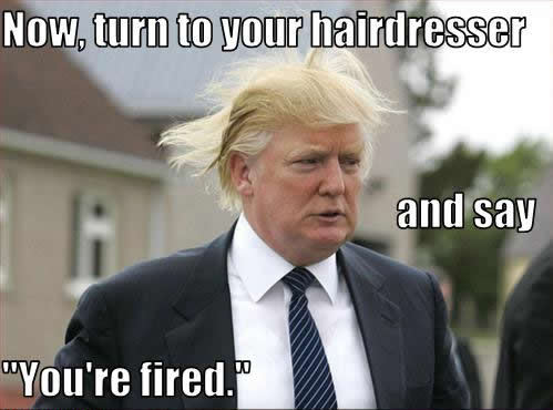 donald trump hairline. donald trump fired.